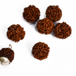Rudraksha